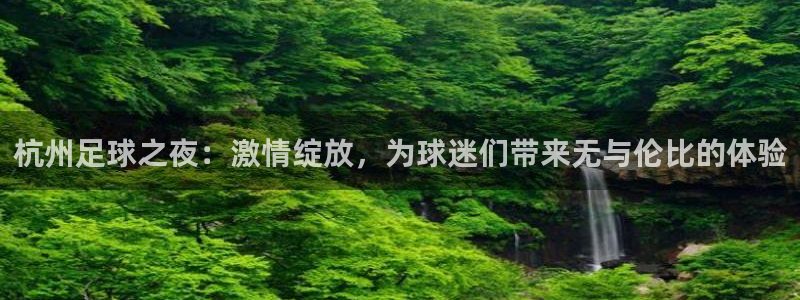 杭州足球之夜：激情绽放，为球迷们带来无与伦比的体验