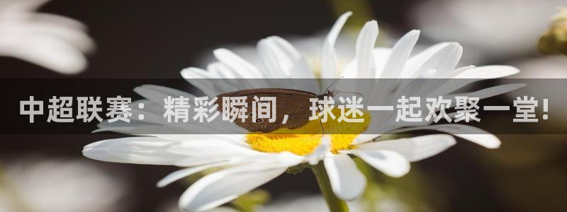 中超联赛：精彩瞬间，球迷一起欢聚一堂!