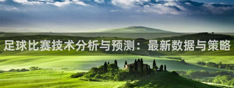  足球比赛技术分析与预测：最新数据与策略