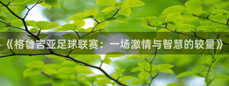  《格鲁吉亚足球联赛：一场激情与智慧的较量》