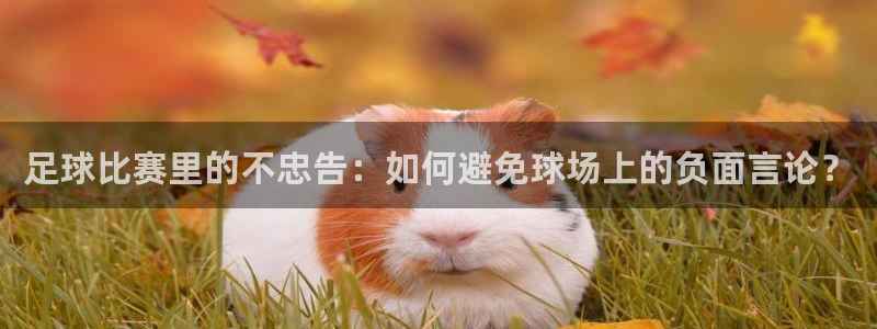  足球比赛里的不忠告：如何避免球场上的负面言论？
