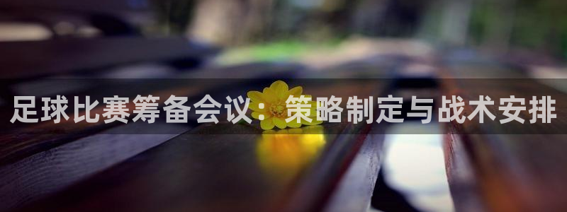  足球比赛筹备会议：策略制定与战术安排