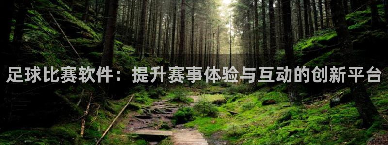  足球比赛软件：提升赛事体验与互动的创新平台