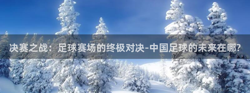  决赛之战：足球赛场的终极对决-中国足球的未来在哪?