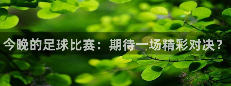  今晚的足球比赛：期待一场精彩对决？