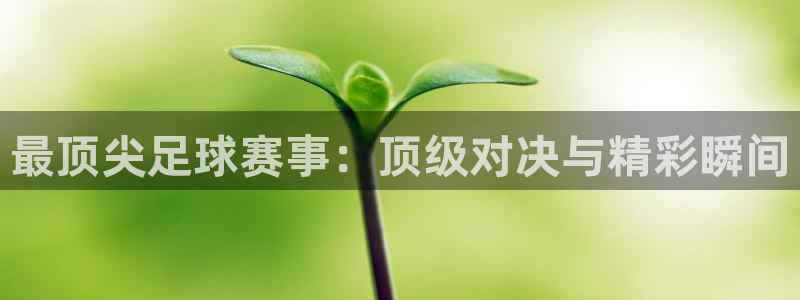 最顶尖足球赛事：顶级对决与精彩瞬间