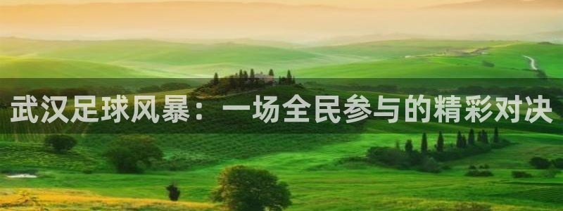  武汉足球风暴：一场全民参与的精彩对决