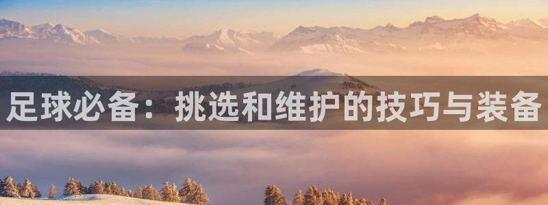 足球必备：挑选和维护的技巧与装备