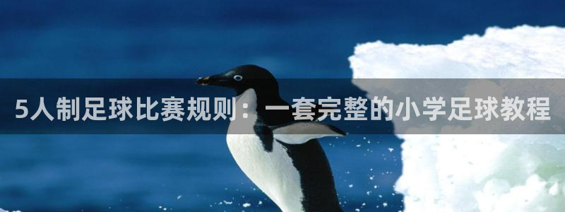  5人制足球比赛规则：一套完整的小学足球教程