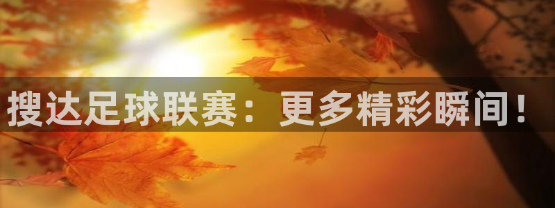 搜达足球联赛：更多精彩瞬间！