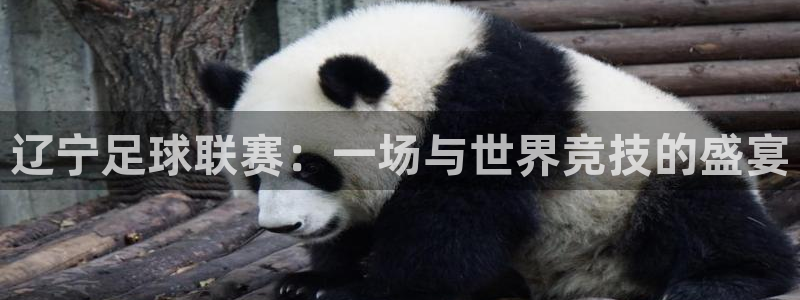  辽宁足球联赛：一场与世界竞技的盛宴