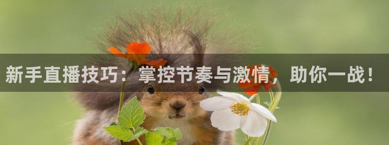 五星体育李兵：新手直播技巧：掌控节奏与激情，助你一战！