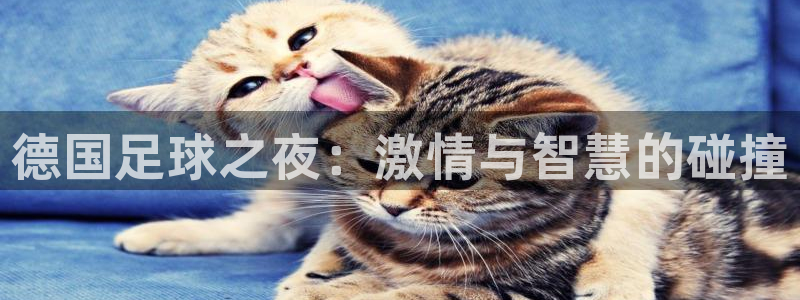 德国足球之夜：激情与智慧的碰撞