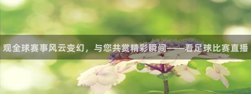 观全球赛事风云变幻，与您共赏精彩瞬间