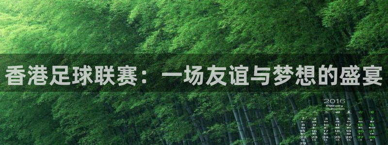 香港足球联赛：一场友谊与梦想的盛宴