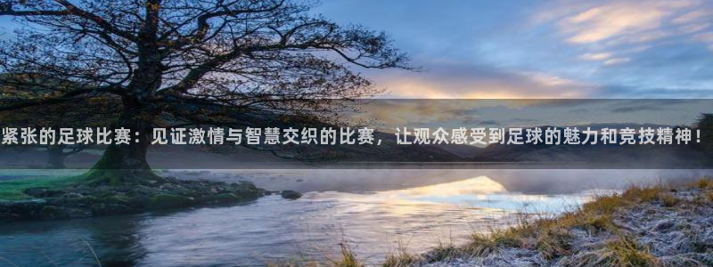 紧张的足球比赛：见证激情与智慧交织的