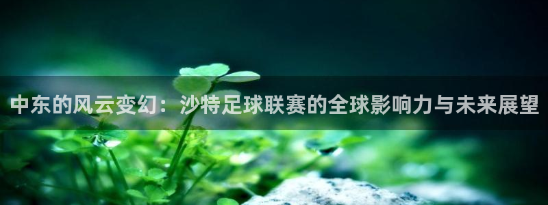 中东的风云变幻：沙特足球联赛的全球影