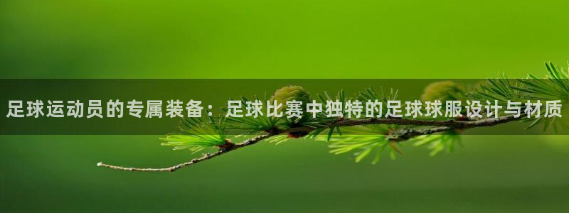 足球运动员的专属装备：足球比赛中独特