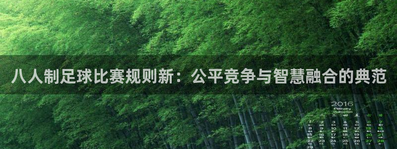 八人制足球比赛规则新：公平竞争与智慧