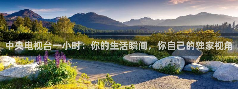 五星体育直播流