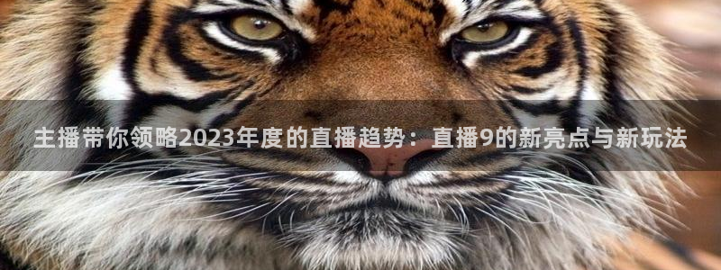 手机怎么看五星体育直播：主播带你领略2023年度的直播趋势：直播9的新亮点与新玩法